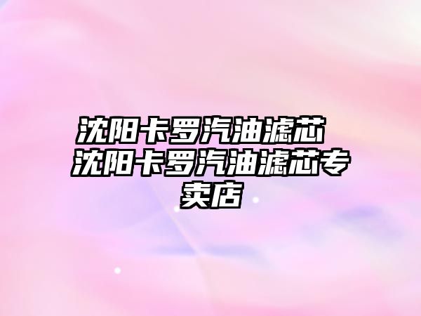 沈陽(yáng)卡羅汽油濾芯 沈陽(yáng)卡羅汽油濾芯專(zhuān)賣(mài)店