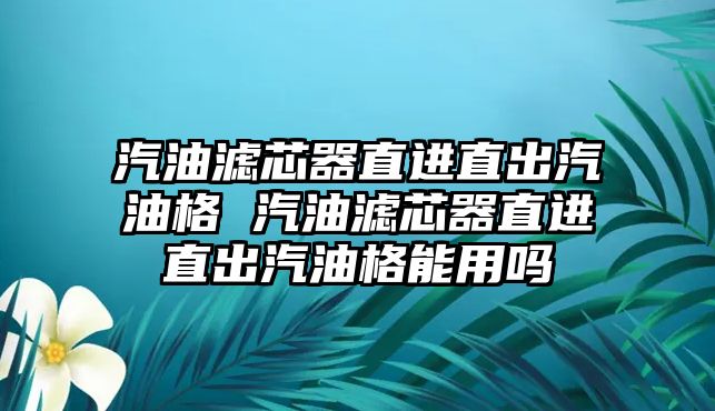 汽油濾芯器直進(jìn)直出汽油格 汽油濾芯器直進(jìn)直出汽油格能用嗎