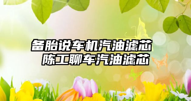 備胎說(shuō)車(chē)機(jī)汽油濾芯 陳工聊車(chē)汽油濾芯