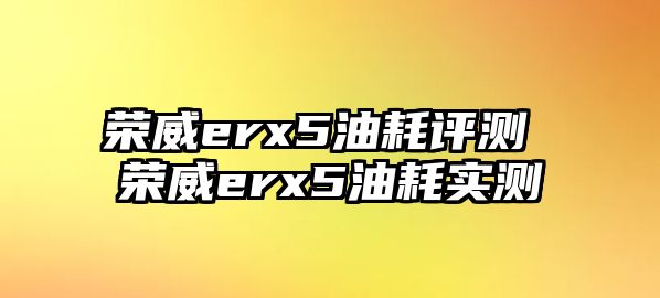 榮威erx5油耗評測 榮威erx5油耗實(shí)測