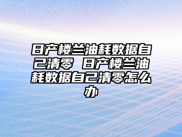 日產(chǎn)樓蘭油耗數(shù)據(jù)自己清零 日產(chǎn)樓蘭油耗數(shù)據(jù)自己清零怎么辦