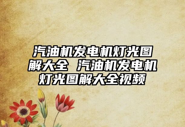汽油機(jī)發(fā)電機(jī)燈光圖解大全 汽油機(jī)發(fā)電機(jī)燈光圖解大全視頻